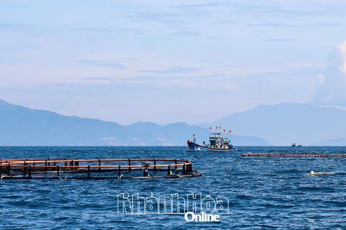 Hỗ trợ xây dựng bến và phương tiện hậu cần cho vùng nuôi biển công nghệ cao Hòn Nội