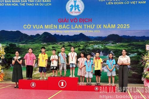 Vận động viên Lạng Sơn đoạt 15 huy chương tại Giải vô địch cờ vua miền Bắc