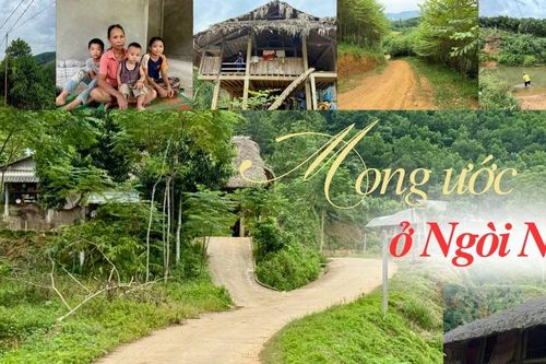 Mong ước ở Ngòi Ngù