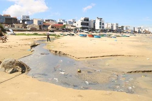 Gia Lai: Biển Nhơn Lý ô nhiễm, chính quyền địa phương triển khai biện pháp khắc phục