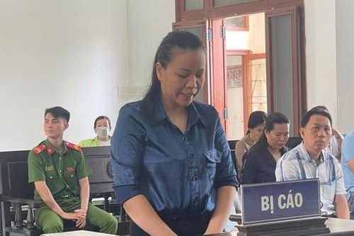 Đắk Lắk: Lừa góp tiền mua bán đất để chiếm đoạt hơn 8 tỷ đồng, người phụ nữ lĩnh 17 năm tù