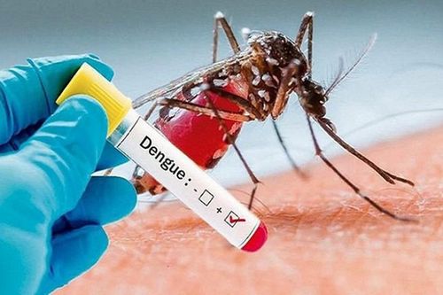 Hà Nội: Ghi nhận 190 trường hợp mắc sốt xuất huyết trong tuần qua
