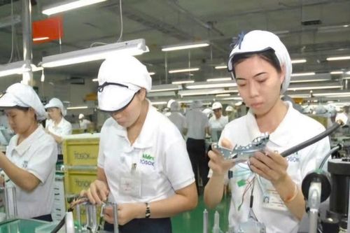 TP. Hồ Chí Minh: Thu thập, cập nhật, chỉnh sửa, tổng hợp thông tin về người lao động