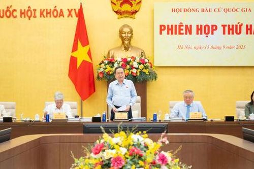 Bảo đảm mọi quy trình bầu cử được thực hiện trên cơ sở biểu mẫu chuẩn hóa