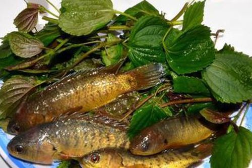Cách làm cá hấp tía tô rất thơm ngon, đậm vị quê nhà của bà ngoại tôi