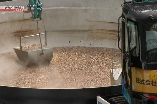 Hơn 3 tấn khoai sọ được nấu trong chiếc nồi khổng lồ, phải dùng máy xúc để múc