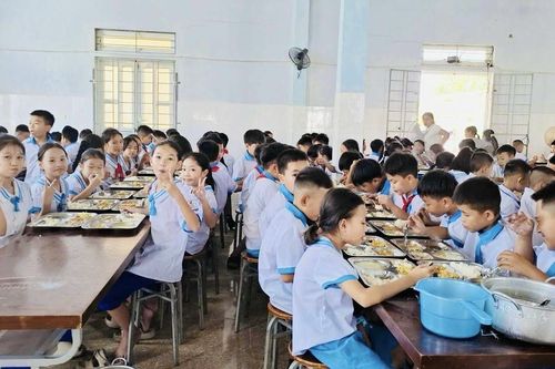Bảo đảm suất ăn bán trú ngon - sạch - an toàn