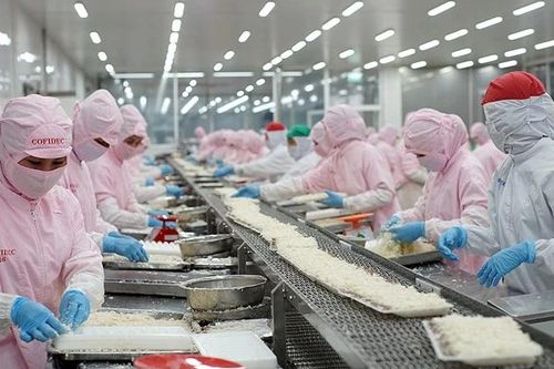 COFIDEC tiên phong chuyển đổi xanh, nâng tầm vị thế bền vững ngành thủy sản