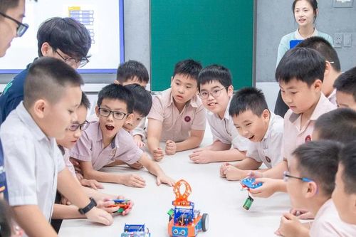 Học sinh tiểu học Trường May đạt nhiều thành tích tại vòng quốc gia thi Toán học FMO