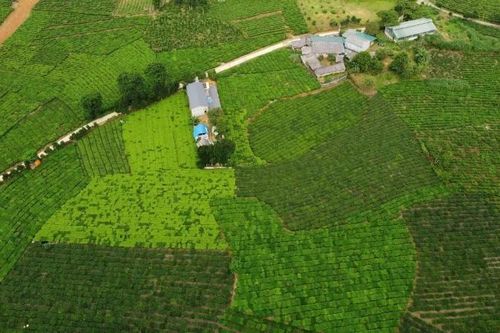 Xã biên giới Bản Lầu hoạt động hiệu quả bộ máy chính quyền địa phương hai cấp