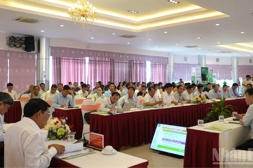 Tổng kết mô hình chuyên canh lúa chất lượng cao, phát thải thấp vụ hè thu 2025