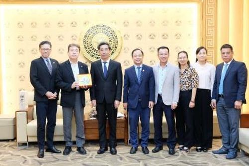 Kêu gọi doanh nghiệp Nhật Bản đầu tư vào khu thương mại tự do