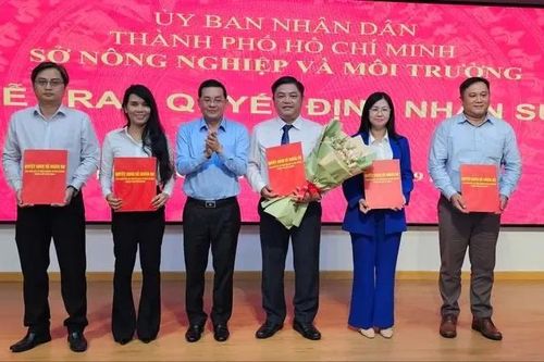 Sau sắp xếp, Sở NN-MT TPHCM giảm còn 7 chi cục