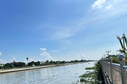 Tây Ninh, Đồng Tháp: Triển khai nhiều giải pháp khắc phục sạt lở