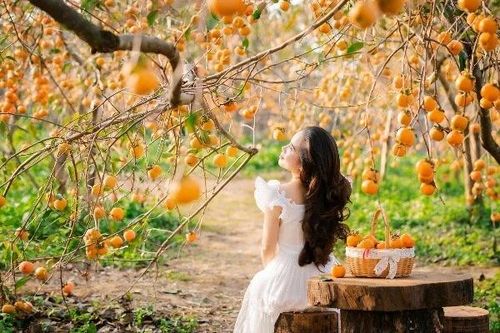 'Bỏ túi' kinh nghiệm đi Mộc Châu mùa thu dành cho 'dân mê xê dịch'