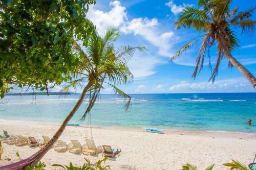 Kinh ngạc hòn đảo ở Thái Bình Dương bị quần thể rắn chiếm giữ