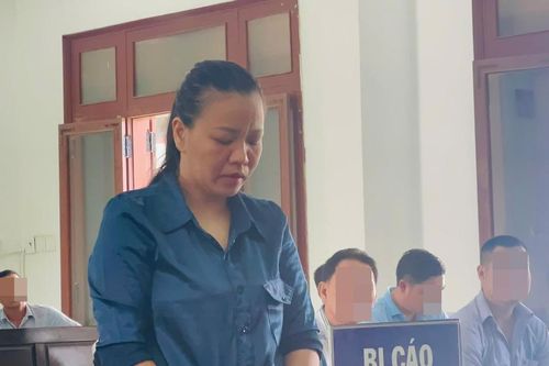 Lãnh 17 năm tù vì lừa đảo nhận tiền mua bán đất, chiếm đoạt hơn 8 tỷ đồng