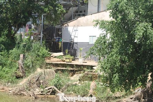 Người dân Đà Nẵng sống bất an bên bờ sông sạt lở