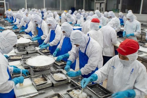 COFIDEC: Tiên phong chuyển đổi xanh, nâng tầm vị thế bền vững ngành thủy sản Việt Nam