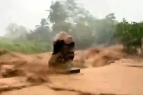Lũ cuồn cuộn đổ về, tàn phá nhiều diện tích hoa màu ở Khánh Hòa