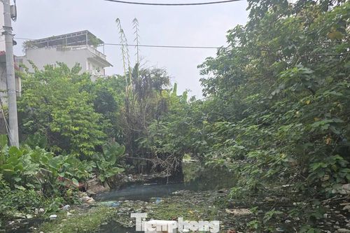Cư dân phường đông dân nhất Thủ đô khốn khổ vì dòng kênh ngập rác
