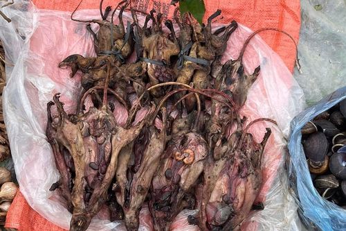 Chợ 'trên mây' ở Phú Thọ nhiều món lạ, khách bất ngờ nhất đặc sản rừng 4 chân