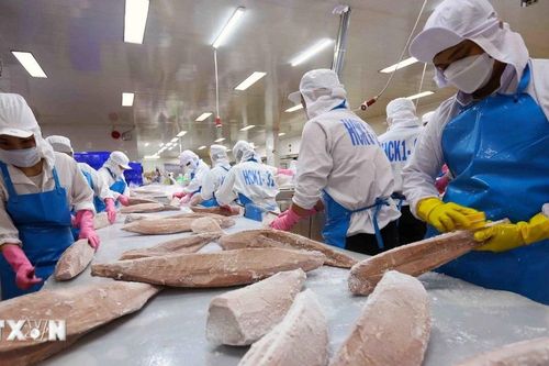 Thủy sản Việt Nam vượt sóng xuất khẩu khi liên tục đối mặt các rào cản kỹ thuật