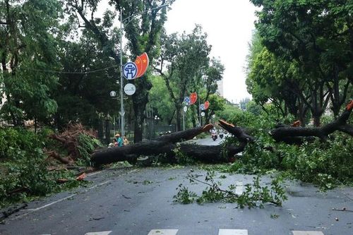 Cấp thiết đánh giá rủi ro và mức độ tổn thương bởi khí hậu tại các đô thị