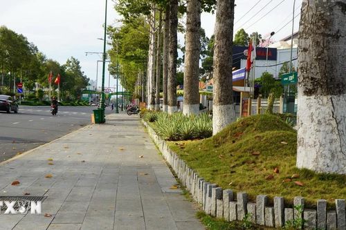 Hà Nội di chuyển, chặt hạ cây xanh phục vụ dự án giao thông trọng điểm