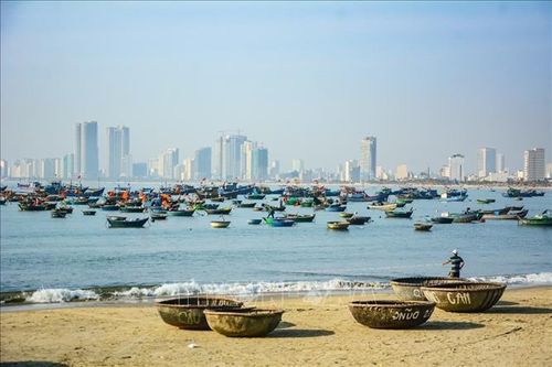 Mở lại các tuyến du lịch ở bán đảo Sơn Trà sau gần 3 năm tạm dừng