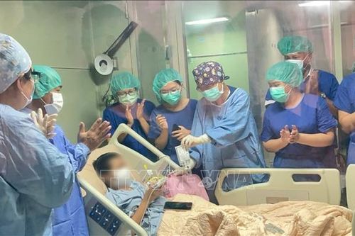 Lần đầu tiên điều trị thành công bệnh ung thư máu bằng liệu pháp tế bào miễn dịch CAR-T