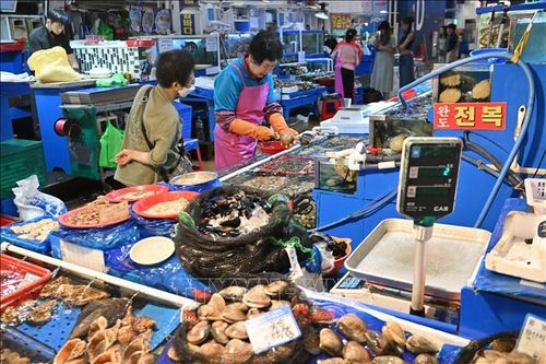 Hàn Quốc khuyến cáo tránh ăn hải sản sống vì vi khuẩn 'ăn thịt người'