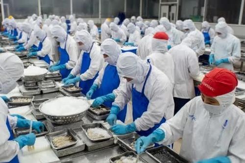 Để doanh nghiệp không còn nỗi lo bị 'hình sự hóa'