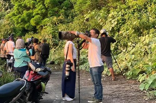 Đà Nẵng mở lại 3 tuyến tham quan dã ngoại sau 3 năm tạm dừng