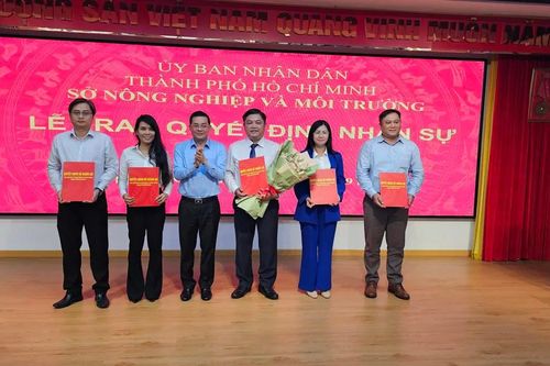 Sau sắp xếp, Sở NNMT TPHCM giảm còn 7 chi cục