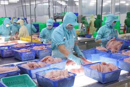 Thủy sản Việt Nam vượt sóng xuất khẩu