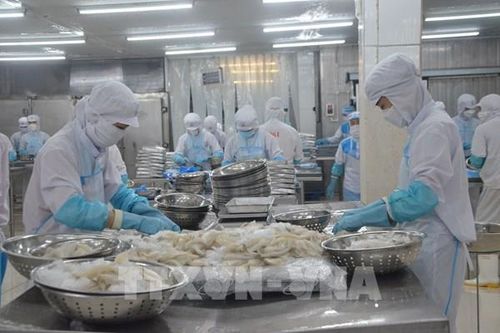Thủy sản Việt Nam đối mặt với nhiều rào cản kỹ thuật khắt khe