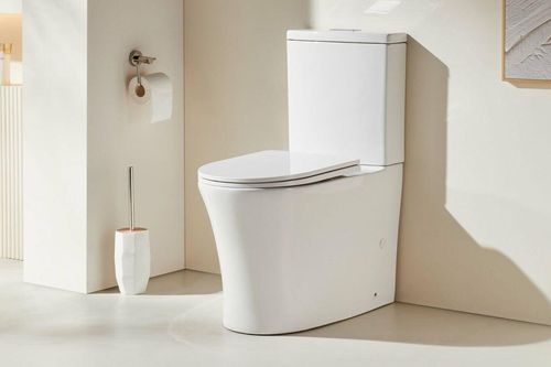 Quên xả toilet, bé trai và cả gia đình phát hiện mắc bệnh di truyền hiếm gặp