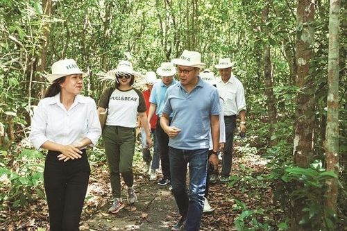 Thế giới không đáng sợ: AA Corporation liều và thắng