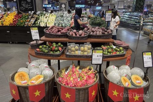 Động lực củng cố hợp tác thương mại Việt Nam - Malaysia