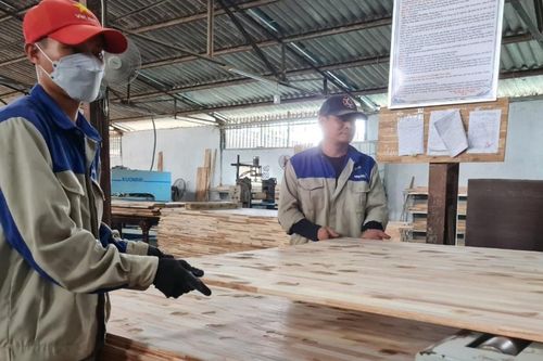 Nghệ An bàn giải pháp nâng cao chất lượng chế biến gỗ và lâm sản