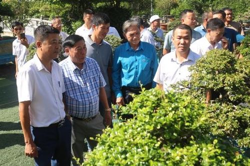 Bắc Ninh: Chuẩn bị trưng bày tác phẩm sinh vật cảnh, thả chim bồ câu hòa bình