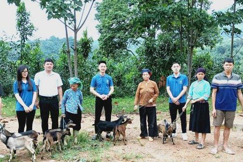 Trao tặng dê giống hỗ trợ hộ nghèo tại xã Xuân Hòa