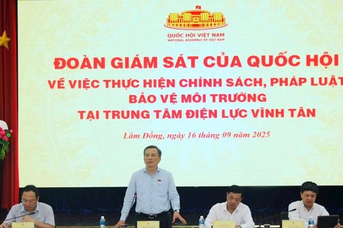 Tìm giải pháp căn cơ để bảo vệ môi trường tại Trung tâm Điện lực Vĩnh Tân