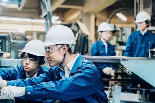 Ngày càng nhiều Gen Z chọn 'cờ-lê' thay giáo trình