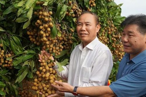 'Khoảng trống' đầu tư và ứng dụng R&D trong nông nghiệp