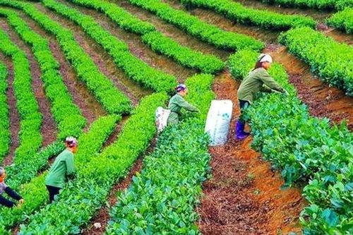 Từ những con số đến khát vọng thoát nghèo bền vững ở Thái Nguyên