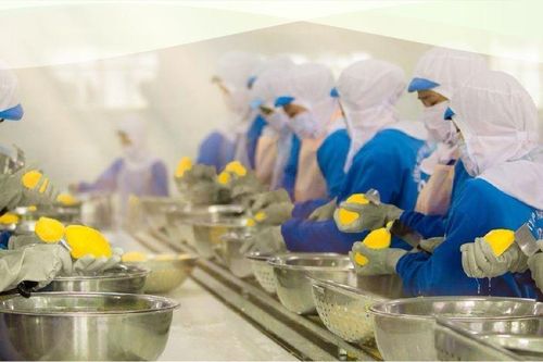 Nâng tầm vị thế xuất khẩu Việt: Từ 'gia công' đến 'thương hiệu'