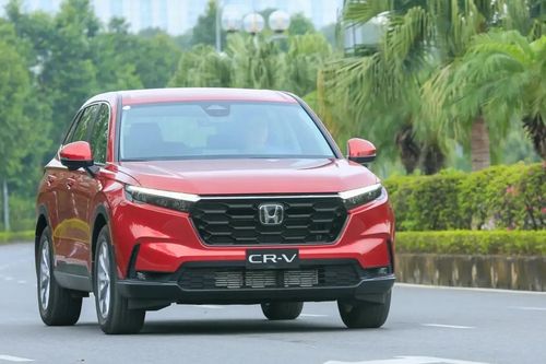 Thị trường xe hybrid Việt Nam tăng trưởng mạnh tháng 8