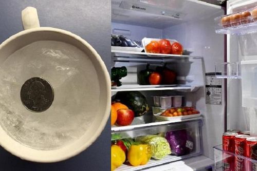 Vì sao nên bỏ đồng xu vào tủ lạnh?